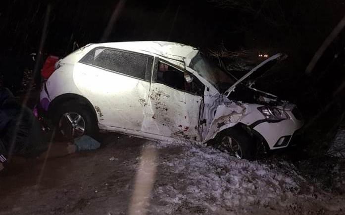 В Павловском районе погиб водитель врезавшегося в дерево автомобиля